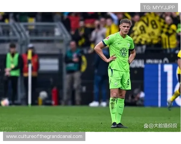 托特纳姆热刺俱乐部的发展历程与辉煌时刻全面解析 托特纳姆热刺俱乐部的发展历程与辉煌时刻全面解析