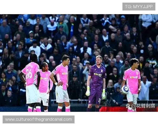 南安普顿俱乐部崛起之路与英超赛季新挑战分析