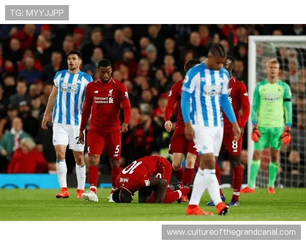 哈德斯菲尔德俱乐部宣布新赛季阵容调整 加强攻防组合迎接挑战