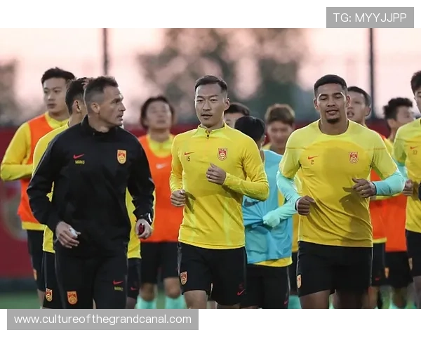 中国足球冲击世界杯进军之路分析 各队实力对比与备战策略揭秘