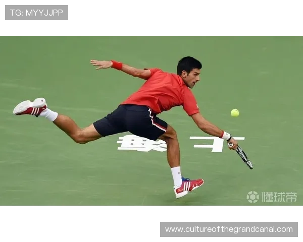 德约科维奇再度登顶年终总决赛展现王者风范年轻新星奋力冲击网坛格局