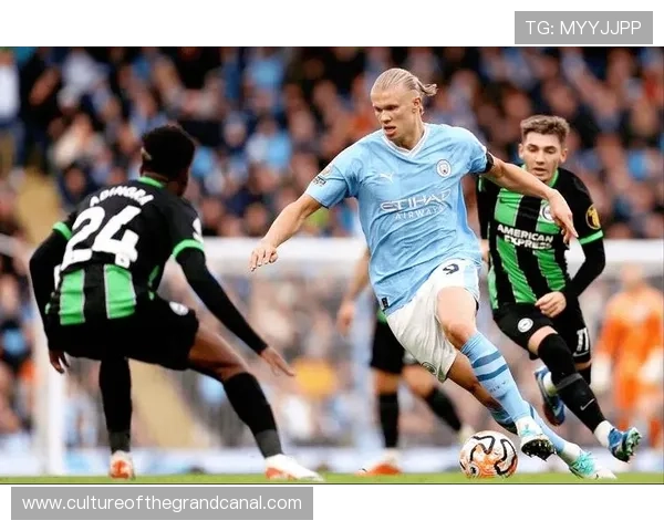 谢菲尔德联队历史传承与现代英超赛场拼搏发展的深度观察