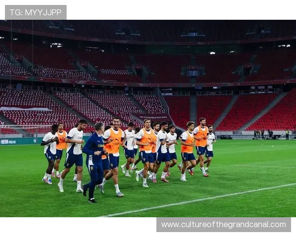 世界杯前瞻：各国强队备战策略解析，谁将捧起最终奖杯引关注